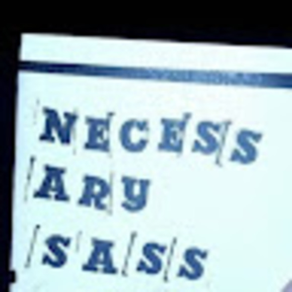 Meet your Posher, Cher - Picture 1 of 1